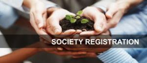 Hands Holding Sapling in Soil That Represents The Society